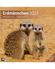Календар Ackermann - Сурикати, 2023 -1