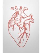 Картичка Мазно - Анатомично сърце -1