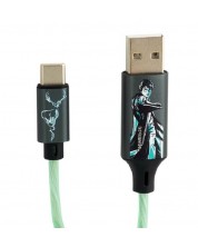 Кабел DC Comics - Harry Potter, USB-A/USB-C, 1.2 m, многоцветен -1