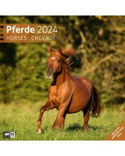 Календар Ackermann - Horses, 2024 -1