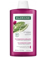 Klorane Prickly Pear Шампоан за дехидратирана и безжизнена коса, 400 ml -1