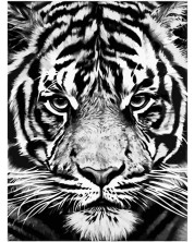 Комплект за рисуване по номера Foska - Бял тигър