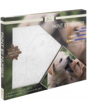 Комплект за рисуване по номера Grafix - Кучета -1