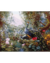 Комплект за рисуване по номера Ideyka - Приказни пауни, 40 х 50 cm -1