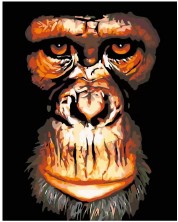 Комплект за рисуване по номера Foska - Шимпанзе