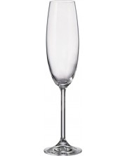 Комплект чаши за шампанско Bohemia - Royal 2 for 2, 2 броя x 230 ml -1