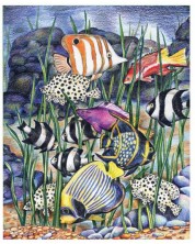 Комплект за рисуване с цветни моливи Royal - Тропически риби, 22 х 30 cm -1