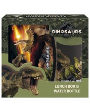 Комплект бутилка и кутия за храна Derform Dinosaur 18