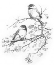 Комплект за рисуване на графика Royal - Птички, 23 х 30 cm