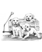 Комплект за рисуване на графика Royal - Кученца в количка, 29 х 39 cm