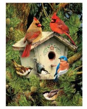 Комплект за рисуване с акрилни бои Royal - Птички, 22 х 30 cm -1