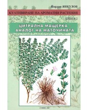 Култивиране на ароматни растения - книга 2: Цитрална мащерка - аналог на маточината -1
