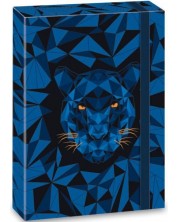 Кутия с ластик Ars Una Black Panther - А4  
