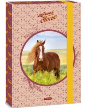 Кутия с ластик Ars Una My Sweet Horse - A4 -1