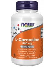 L-Carnosine, 500 mg, 100 капсули, Now -1