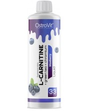 L-Carnitine + Green Tea + Chromium, синя боровинка, 500 ml, OstroVit -1