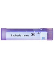 Lachesis mutus 30CH, Boiron -1