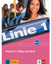 Linie 1 B1.1 Kurs- und Übungsbuch mit DVD-ROM