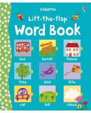 Lift-the-flap Word Book -1