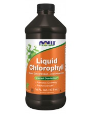 Liquid Chlorophyll & Mint, 473 ml, Now -1