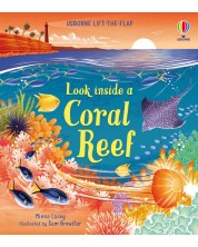 Look inside a Coral Reef -1