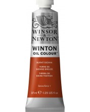 Маслена боя Winsor & Newton Winton - Сиена печена, 37 ml