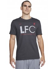 Мъжка тениска Nike - Liverpool F.C. Mercurial , сива