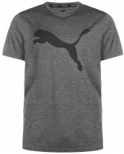 Мъжка тениска Puma - Favourite Heather , сива -1