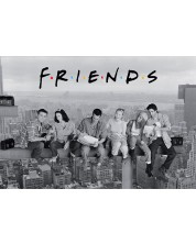 Макси плакат ABYstyle Television: Friends - Friends -1