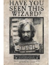 Макси плакат GB eye Movies: Harry Potter - Wanted Sirius Black -1