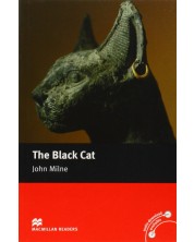 Macmillan Readers: Black cat (ниво Elementary)