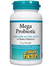 Mega Probiotic, 75 g, Natural Factors -1
