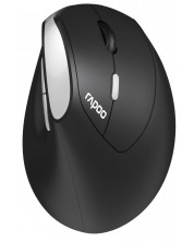 Мишка Rapoo - EV250, оптична, безжична, черна/сребриста -1