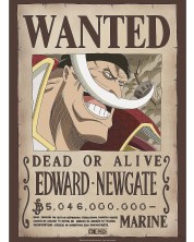 Мини плакат GB eye Animation: One Piece - Whitebeard Wanted Poster -1