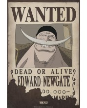 Мини плакат GB eye Animation: One Piece - Wanted Whitebeard -1