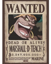 Мини плакат GB eye Animation: One Piece - Blackbeard Wanted Poster -1