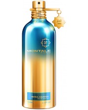 Montale Парфюмна вода Herbal Aquatica, 100 ml -1
