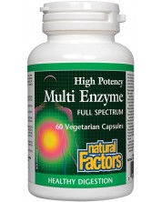 Multi Enzyme Full Spectrum, 450 mg, 60 капсули, Natural Factors -1