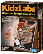  Научен комплект 4M Kidz Labs - Звукова инсталация на храносмилателната система