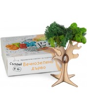 Образователен комплект Stemico - Вечнозелено дърво