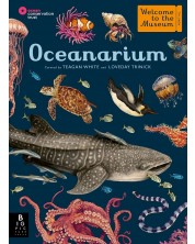 Oceanarium -1