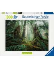 Пъзел Ravensburger от 1000 части - Очарователна гора -1