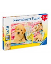 Пъзел Ravensburger от 3 x 49 части - Сладки кученца лабрадори -1