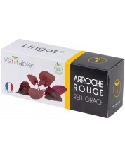 Пълнител Veritable - Lingot, Червен френски спанак, без ГМО -1