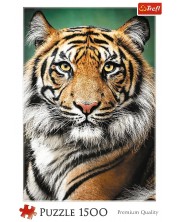 Пъзел Trefl от 1500 части - Портрет на тигър