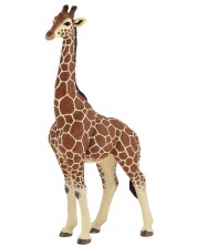 Фигурка Papo Wild Animal Kingdom – Мъжки жираф