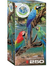 Eurographics Macaws -1
