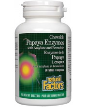 Papaya Enzymes with Amylase and Bromelain, 60 таблетки, Natural Factors -1