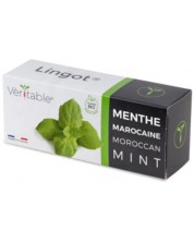 Пълнител Veritable - Lingot, Мароканска мента, без ГМО -1