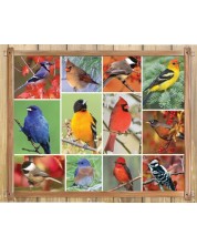Пъзел Springbok от 1000 части - Сладки птички -1